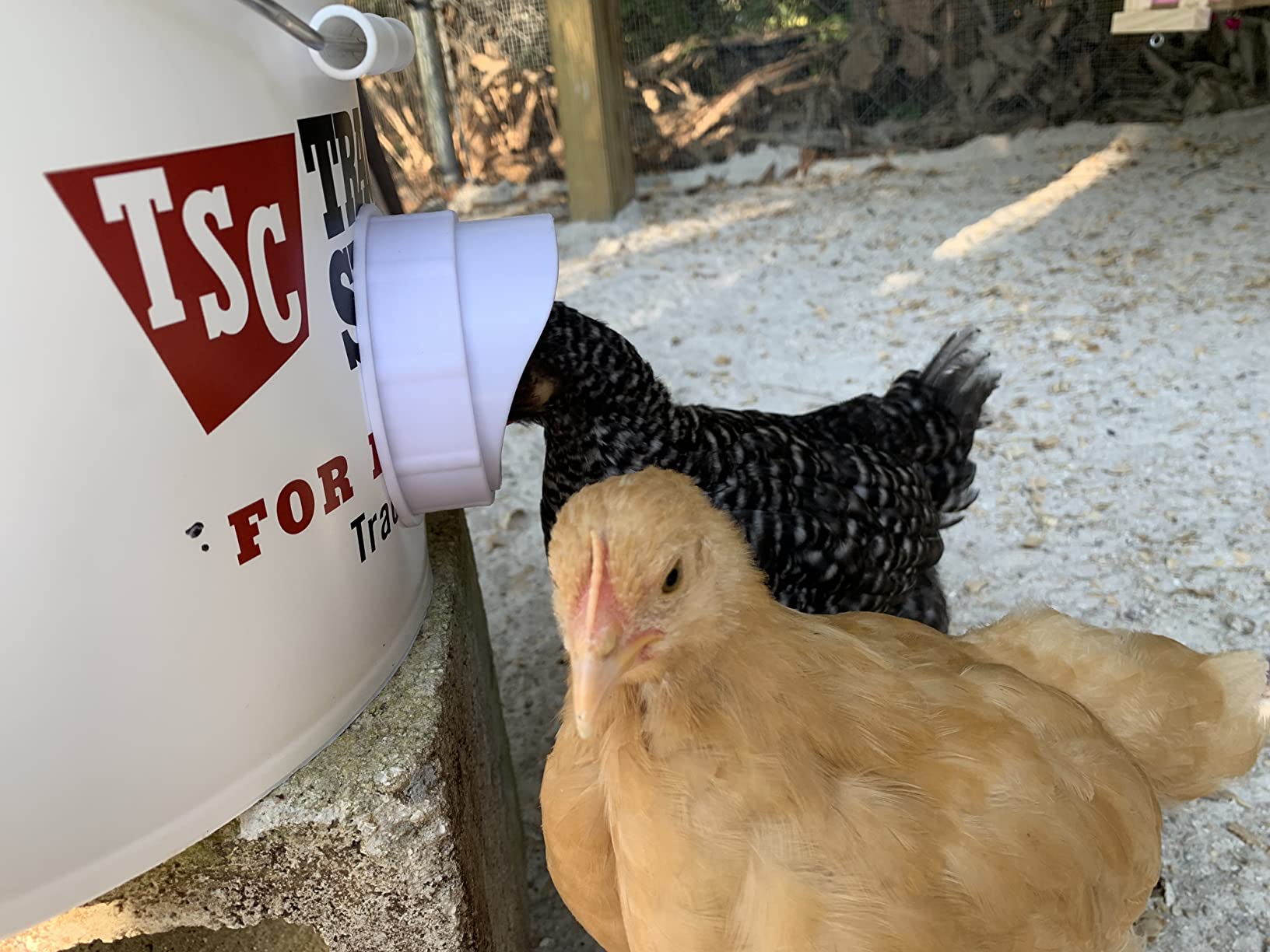 DIY Chicken Feeder Rain Proof Poultry Feeder Port Gravity Feed Kit for Buckets, Barrels, Troughs (4 Port with holesaw) customer photo 2