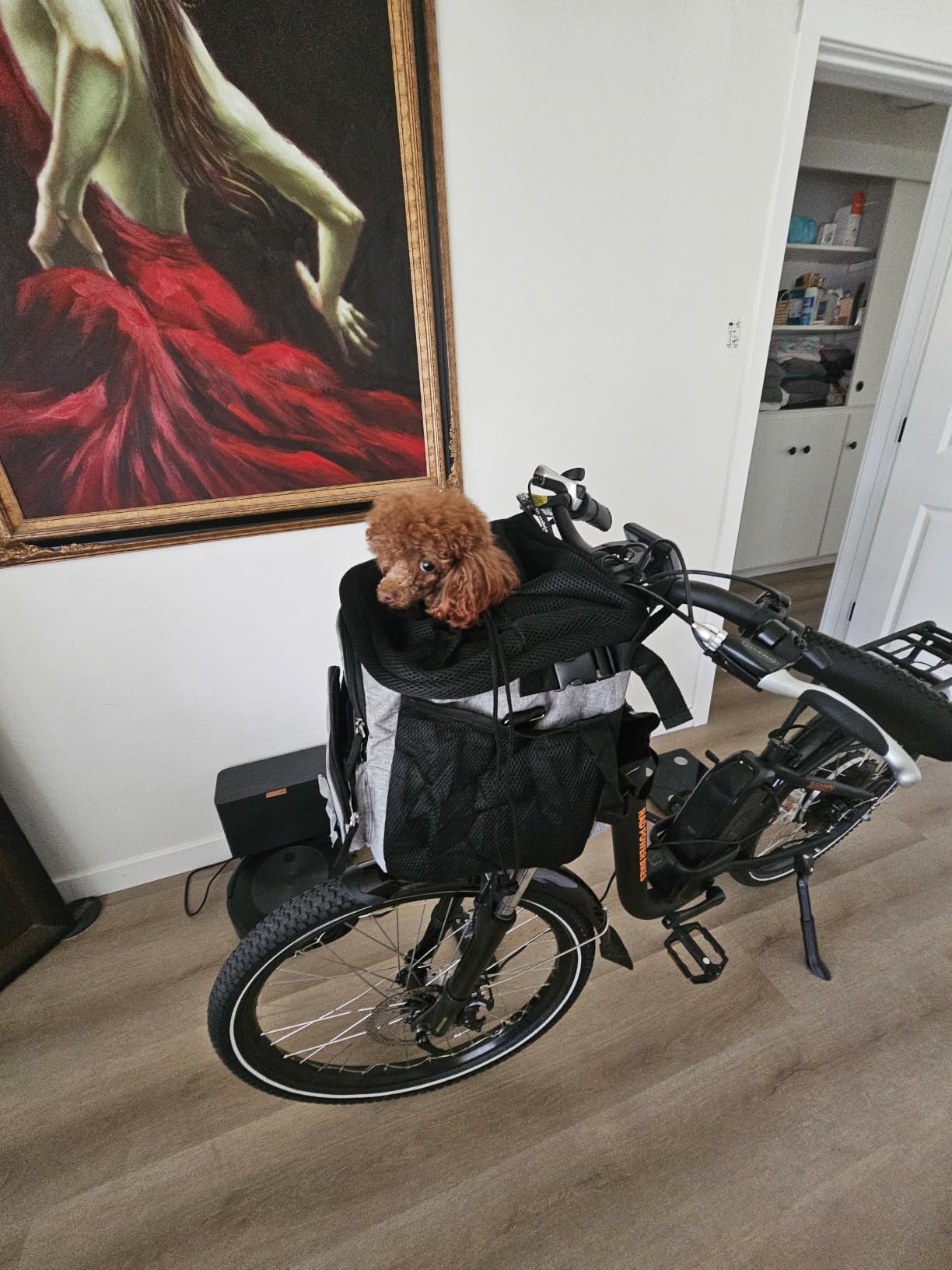 PetAmi Dog Bike Basket, Soft-Sided Ventilated Carrier Backpack, Dark Gray | For Small Medium Dog Puppy Cat Kitten, Pet Bicycle Basket for Bike Handlebar, Car Booster Seat with Safety Strap, Max 18 lbs customer photo 2