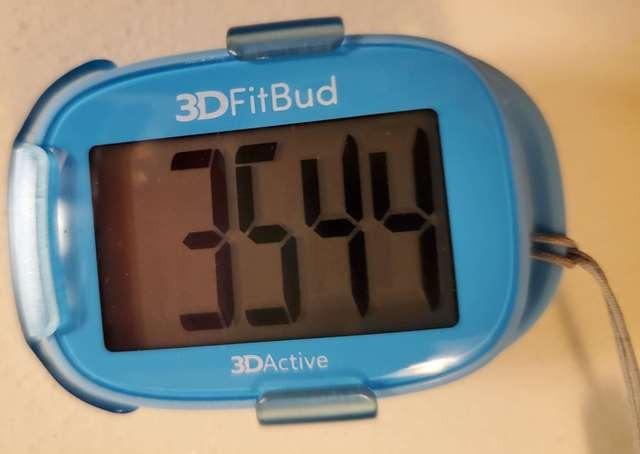 3DFitBud Simple Step Counter Walking 3D Pedometer by 3DActive with Clip, Lanyard Accurate Step Tracker Large Display, Easy to use for Kids Men Women Adult Seniors Daily Step Tracking - A420S customer photo 2