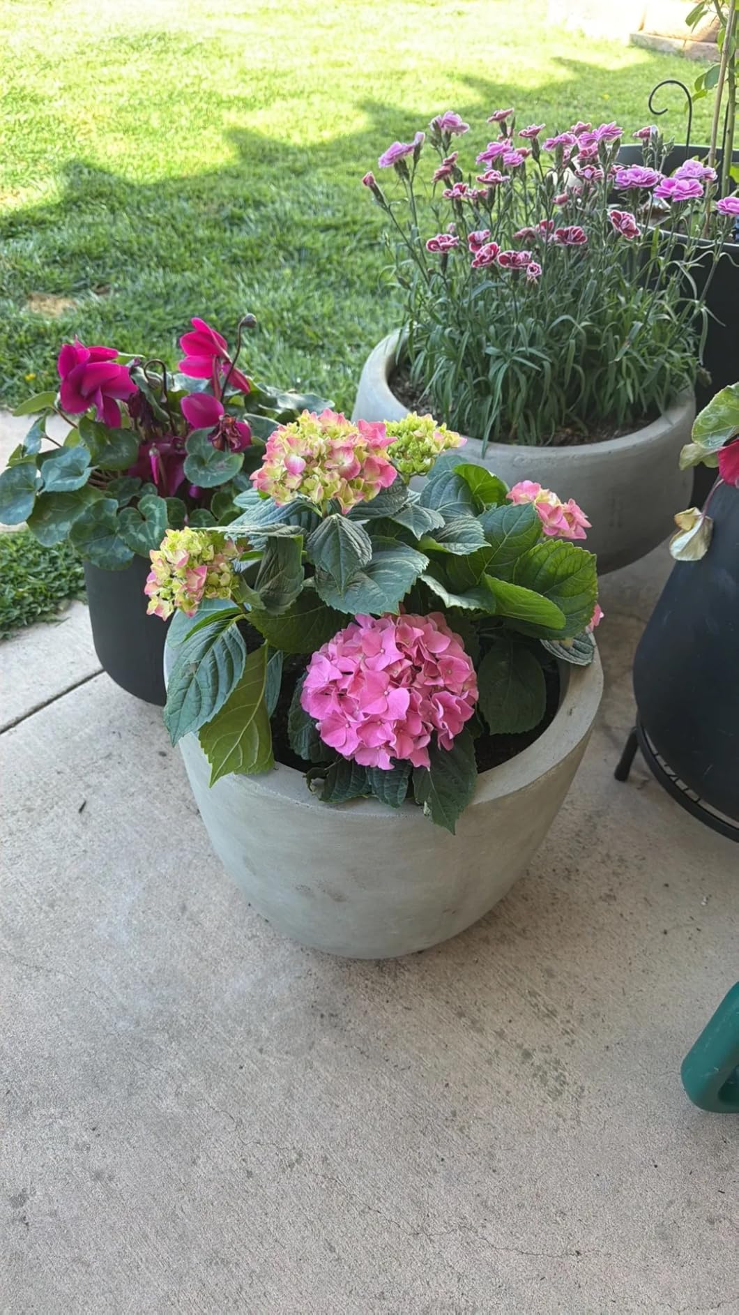 Kante Tall Concrete Planter, 21.7