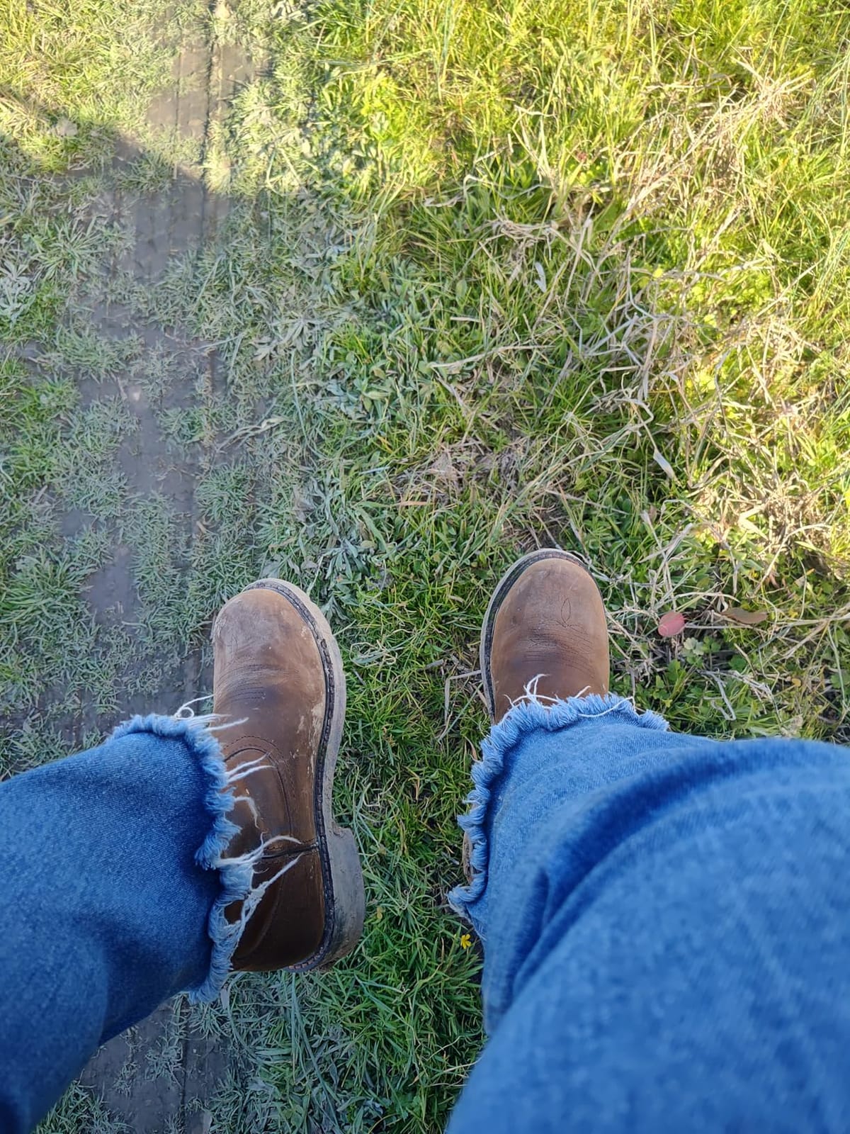 Ariat Women's Fatbaby Work Pull-On Steel Toe Work Boot customer photo 2