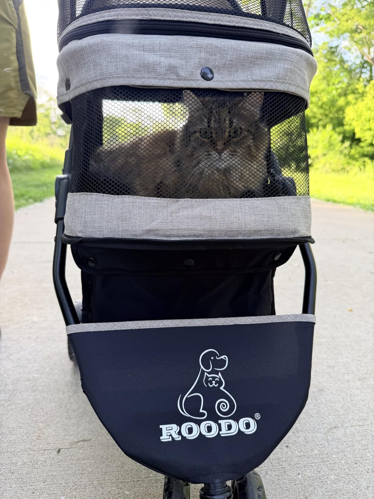 ROODO 3 Wheel Pet Stroller Best Lightweight Foldable Compact Portable Jogger All Terrain Travel Pet Gear Puppy Kitty Stroller for up to 30lbs Medium Small Dogs and Cats(Green) customer photo 2