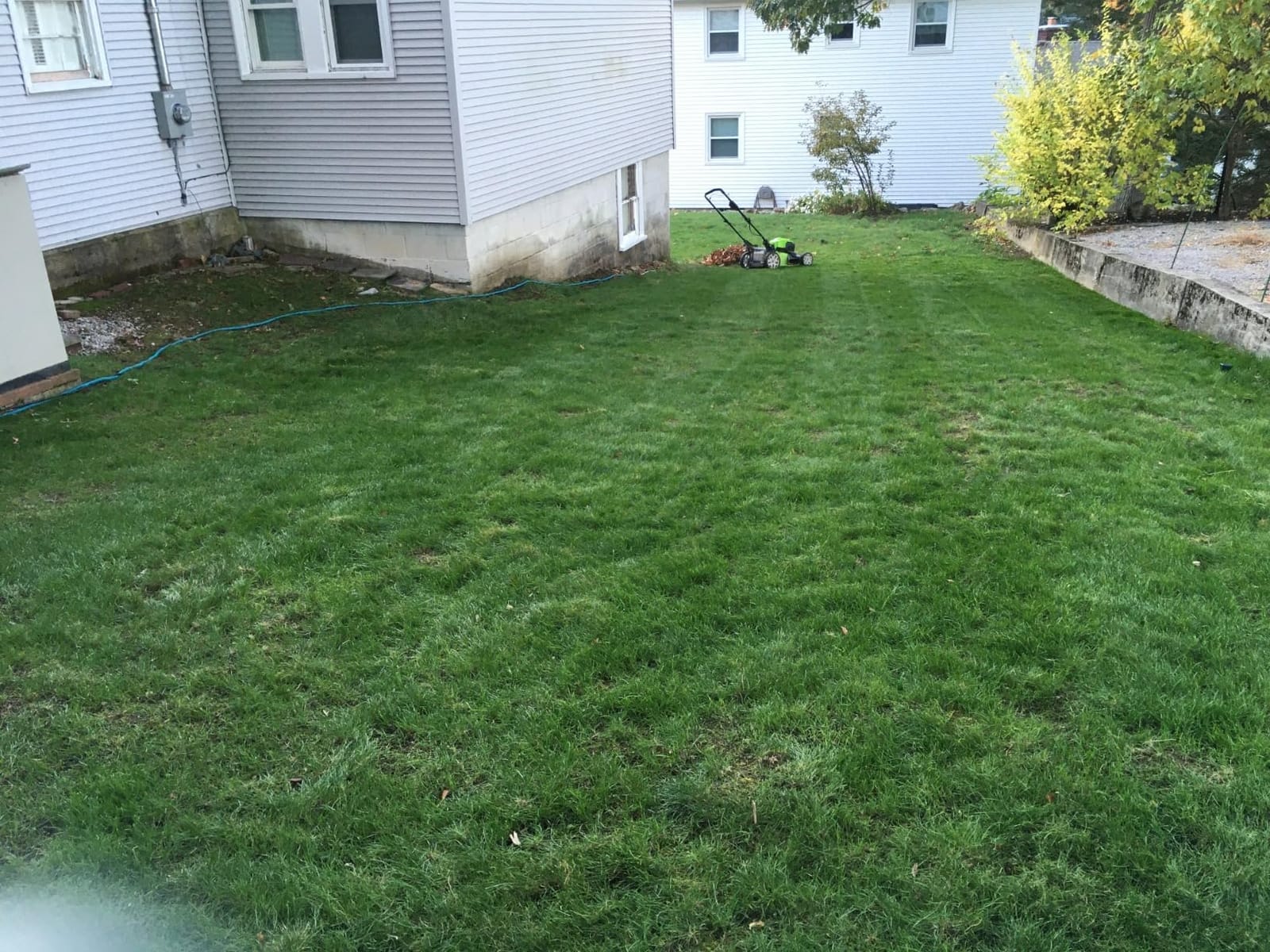 Scotts Turf Builder Grass Seed Sun & Shade Mix, 5.6 lbs. customer photo 2