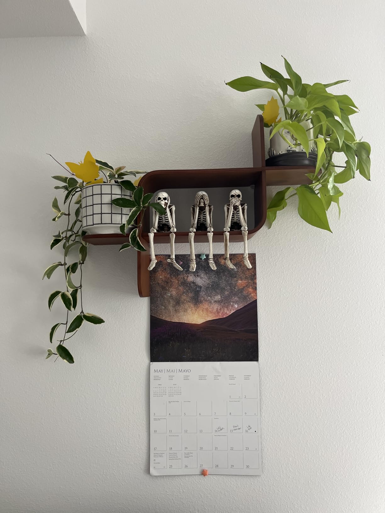 Umbra Montage Floating Wall Shelf Display Case, Made of Natural Bent Wood, Light Walnut customer photo 1