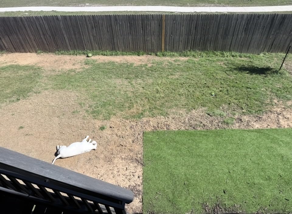 Scotts Turf Builder Grass Seed Tall Fescue Mix, 5.6 lbs. customer photo 1