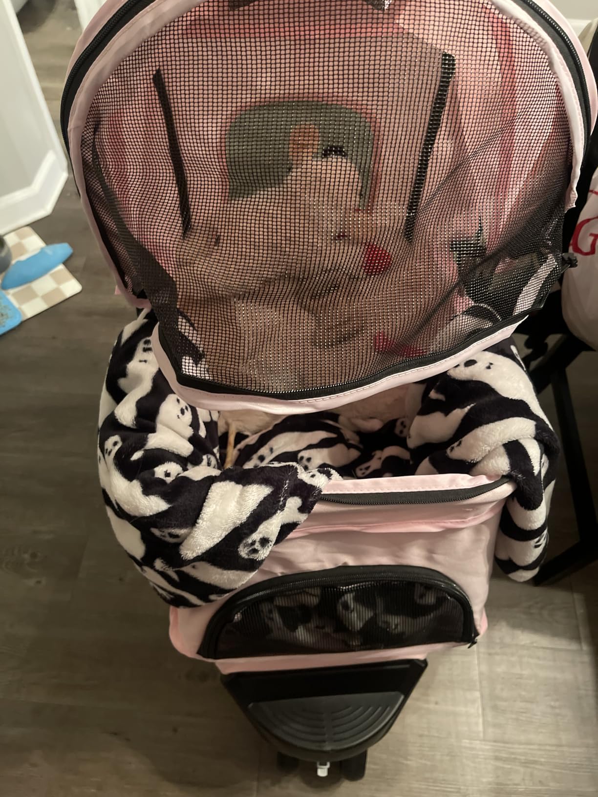 Trixie Foldable Pet Stroller for Cats and Dogs, Pet Carrier Strolling Cart with Weather Cover, Storage Basket, Cup Holder, Pink customer photo 1