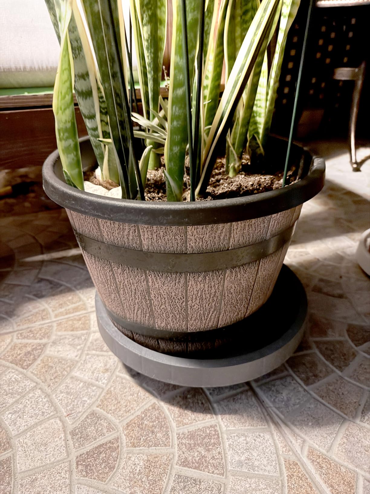 Quarut 3 Pack 10 inch Plant Pots, Whiskey Barrel Planters with Drainage Holes & Saucer, Plastic Decoration Flower Pots Imitation Wine Barrel Design, for Indoor & Outdoor Garden Home Plants (Brown) customer photo 1