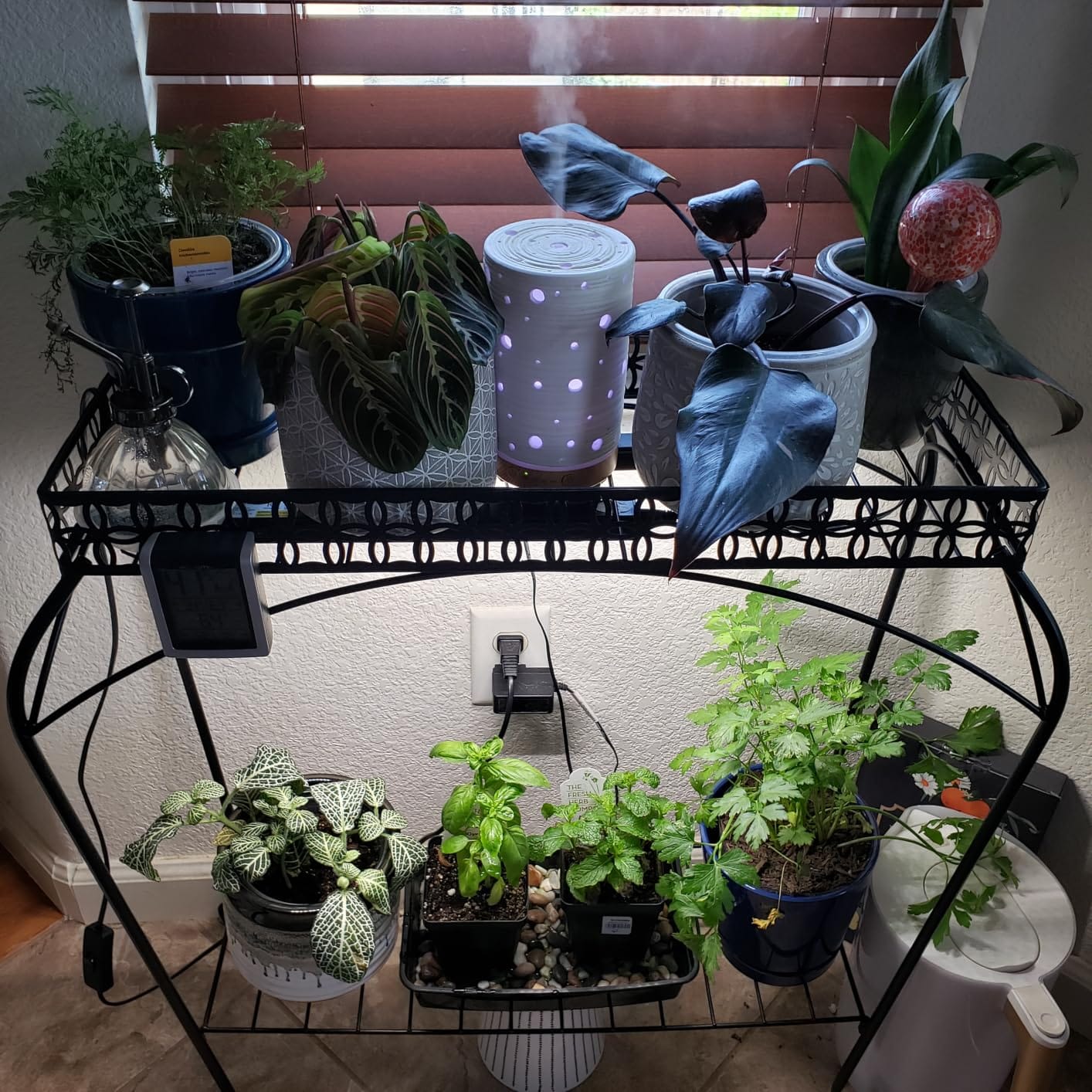 Barrina T5 Grow Lights for Indoor Plants, 5000K Full Spectrum, 1FT, 4 Packs customer photo 1