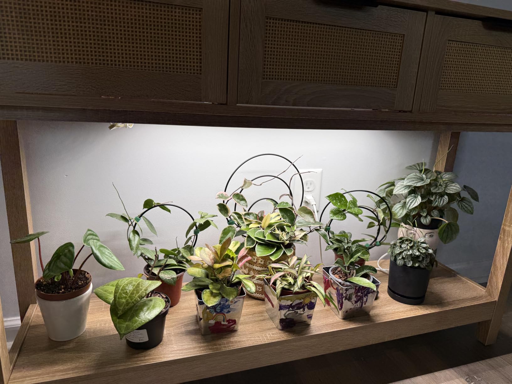 Barrina T5 Grow Lights for Indoor Plants, 5000K Full Spectrum, 1FT, 4 Packs customer photo 2