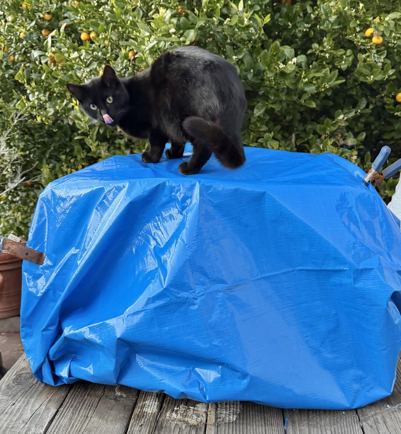 TICONN Heavy Duty Tarp Cover, Extra Thick Tarps Waterproof Tear and Rip Proof UV Resistant Tarpaulin with Reinforced Grommets and Edges (5.5 Mil, 6'x8') customer photo 2