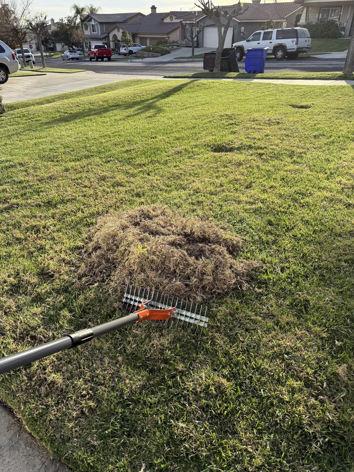Walensee Thatch Rake for Lawn, 15-Inch Dethatcher Rake with Adjustable Sectional Handle, Heavy Duty Steel Lawn Rake for Removing Dead Grass, Efficient Grass Dethatching Tool for Yard and Garden customer photo 2