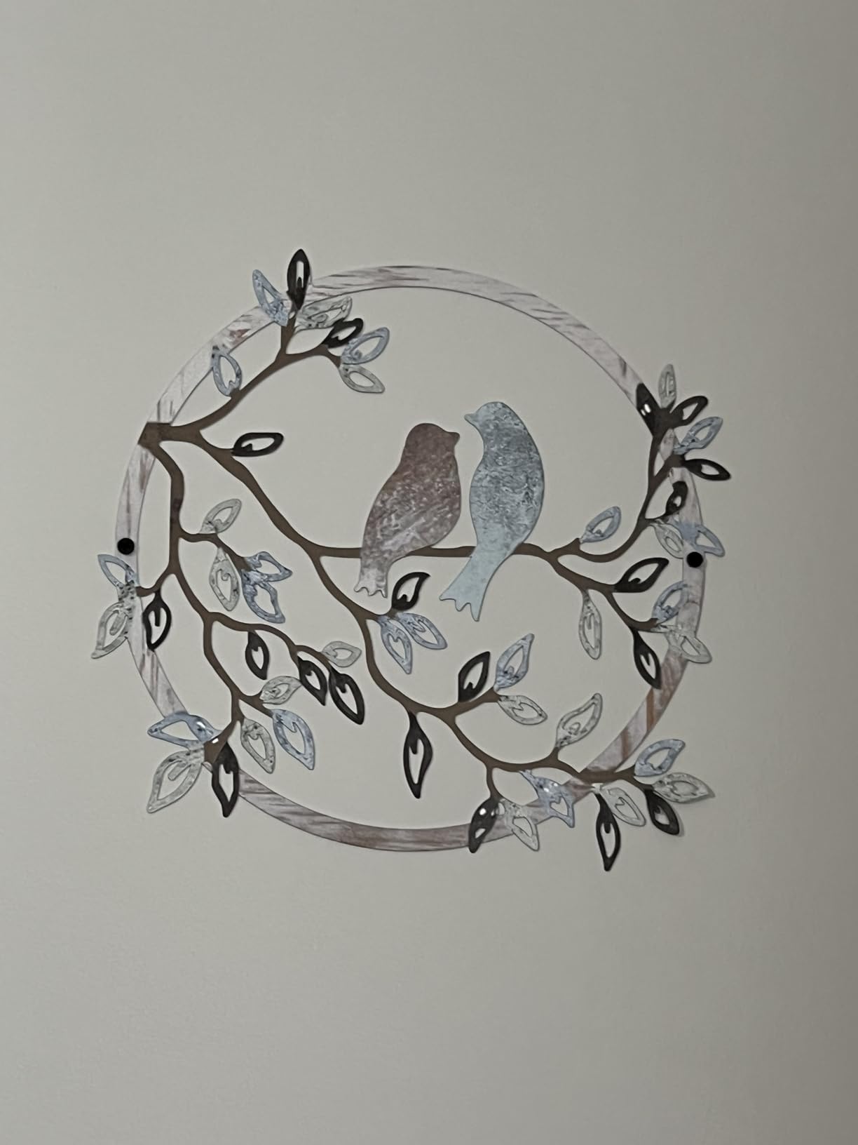 Ferraycle Metal Wall Art Bird on Tree Branch Silhouette Bird Hanging Ornament Porch Wall Decor for Living Room Outdoor Garden Bedroom Office Housewarming Party Decoration(Fresh Color) customer photo 2