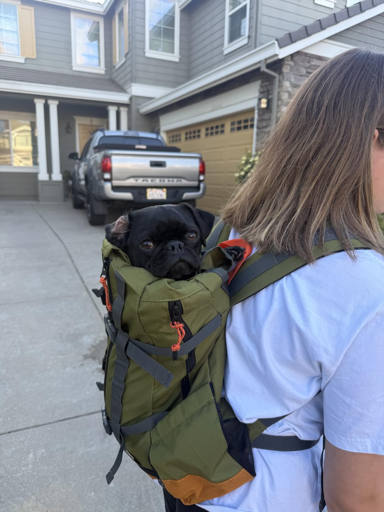 K9 Sport Sack Urban 3 - Small, Leafy - Dual-Use, Backpack-Style Carrier + Everyday Pack customer photo 2