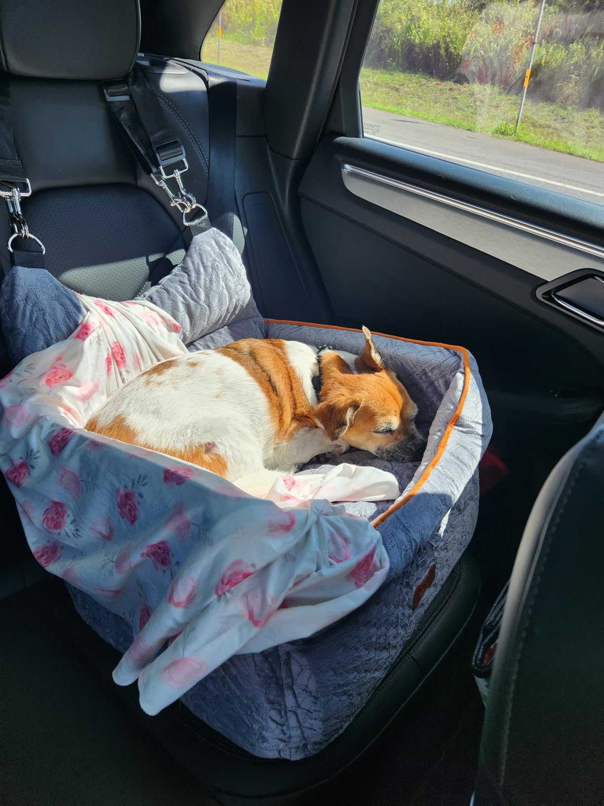 Dog Car Seat - Memory Foam Dog Booster Seat for Small Dogs Up to 25lbs-Elevated Pet Car Seat with Storage Pockets and Dog Seat Belt-Soft Pet Travel Bed for Front & Back Seats-Removable Washable-Grey customer photo 2