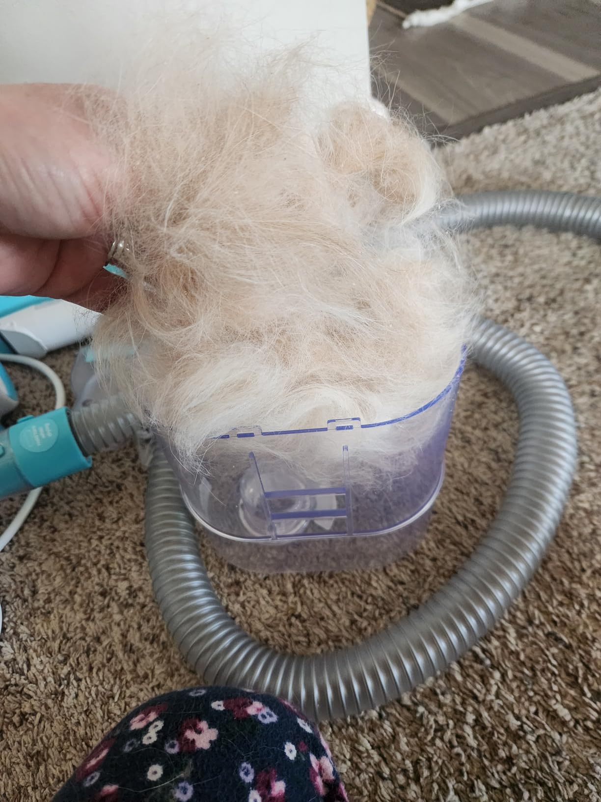 Uproot Clean Pet Groomer Vacuum Kit 7 in 1 - Cat & Dog Grooming Kit with Brush, Detangle, Deshed, Trim, Clean, & Dry Attachments - Complete Cat & Dog Grooming Vacuum for Shedding Pets customer photo 2
