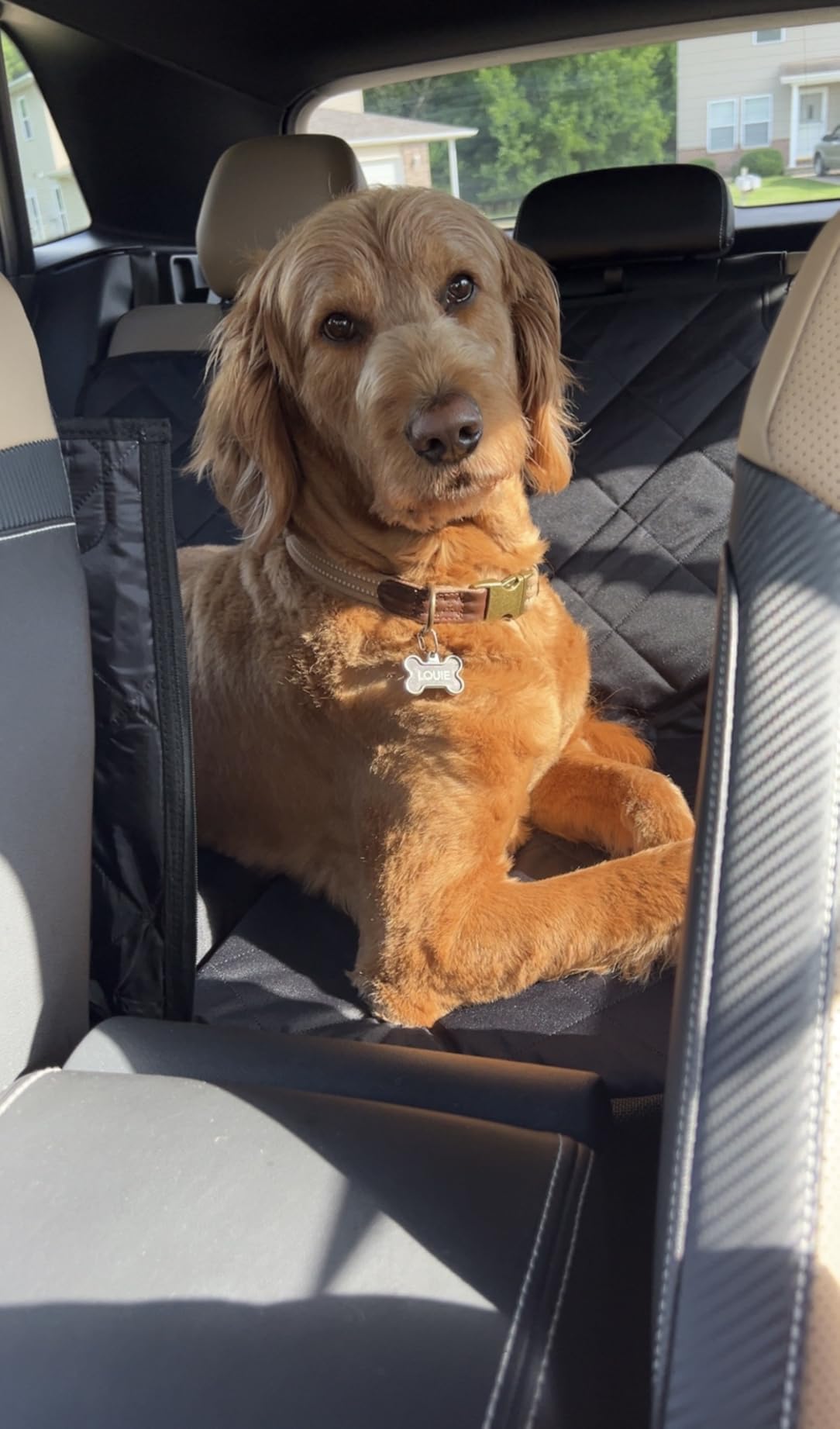 Back Seat Extender for Dogs-Large Space, Dog Car Seat Cover Hard Bottom Holds 420lbs, Sturdy Backseat Extender for Dogs,Upgraded Waterproof Pet Car Bed Dog Hammock for Car, SUV,Truck, Black customer photo 1
