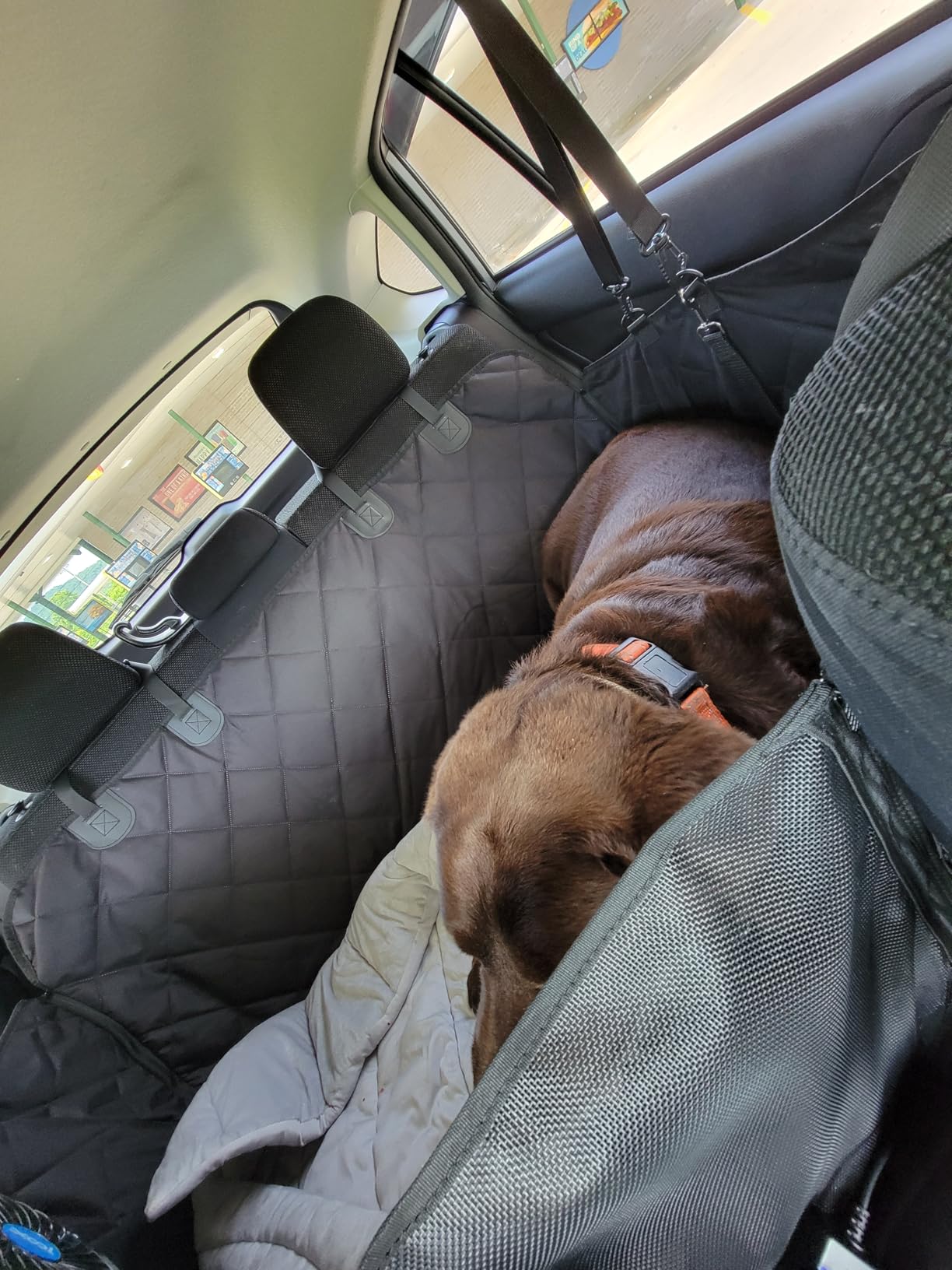 Back Seat Extender for Dogs-Large Space, Dog Car Seat Cover Hard Bottom Holds 420lbs, Sturdy Backseat Extender for Dogs,Upgraded Waterproof Pet Car Bed Dog Hammock for Car, SUV,Truck, Black customer photo 2