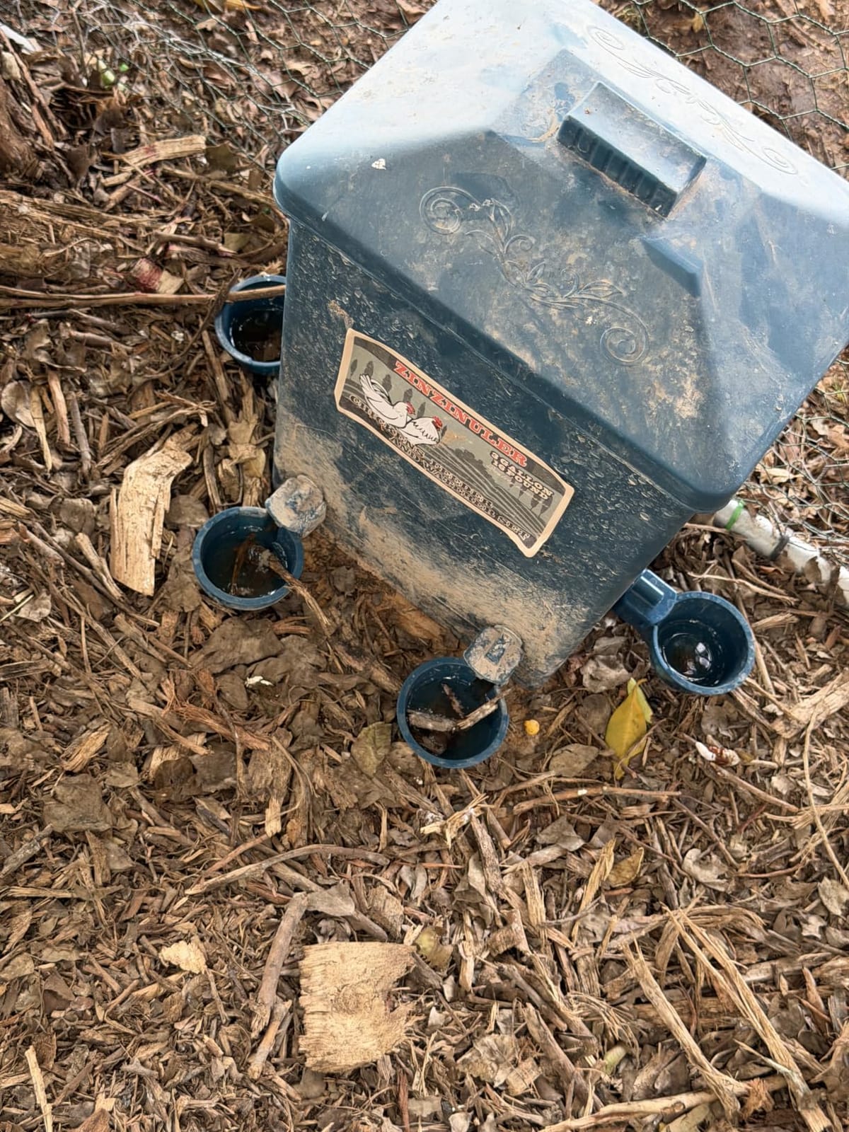 Automatic Port Chicken Feeder and Cup Waterer Set - Chicken Coop Accessories, No Waste Poultry Feeder, 3 Gallon/16 Pounds customer photo 1