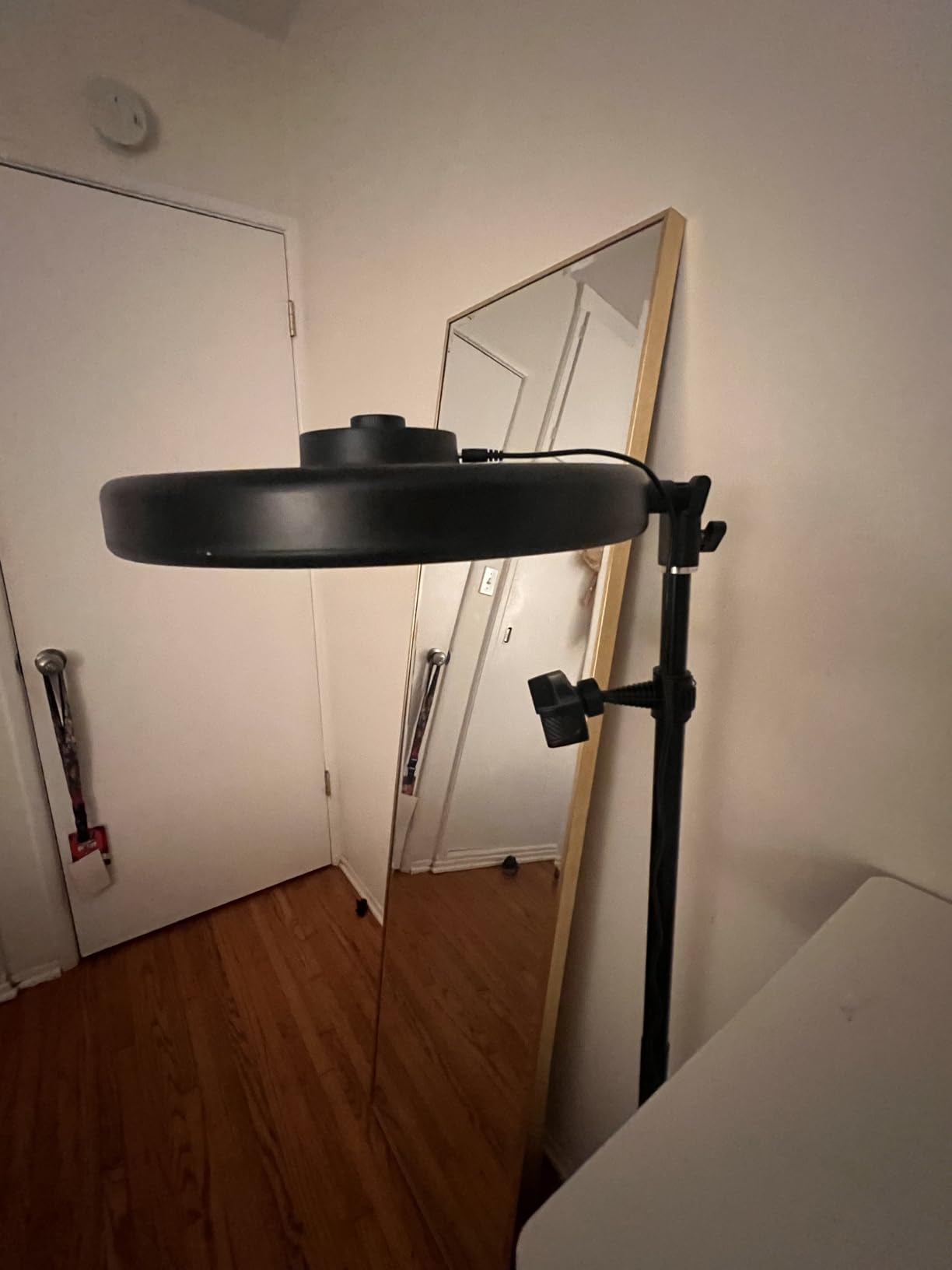 TODI Large Ring Light with 79