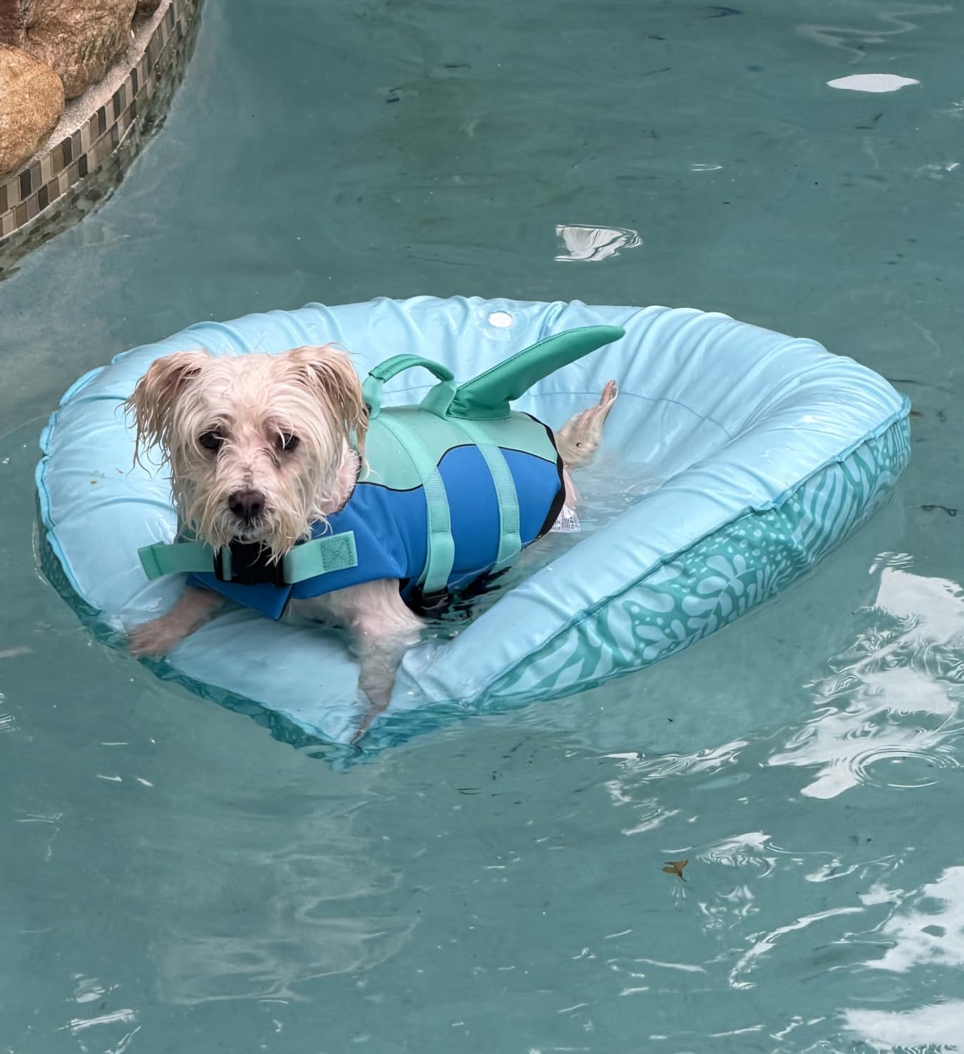 Dogcheer Dog Life Jacket Shark, American Flag Dog Life Vest with Reflective Stripes & Rescue Handle, USA Flag, M customer photo 1