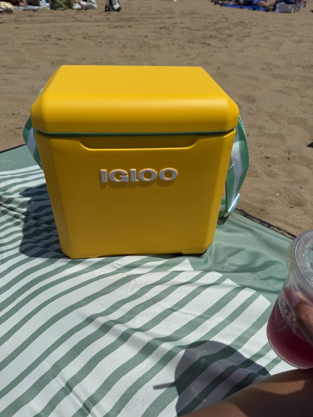 Igloo Tag Along Too Coolers | Insulated Hard Shell Picnic Style Cooler | Rolling Ice Chest customer photo 2