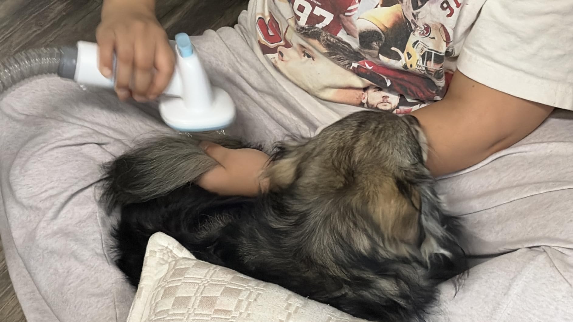 Buenkee Dog Grooming Kit with Vacuum, 15000Pa Pet Hair Clipper and Shedding Brush, 2L Capacity, White customer photo 2