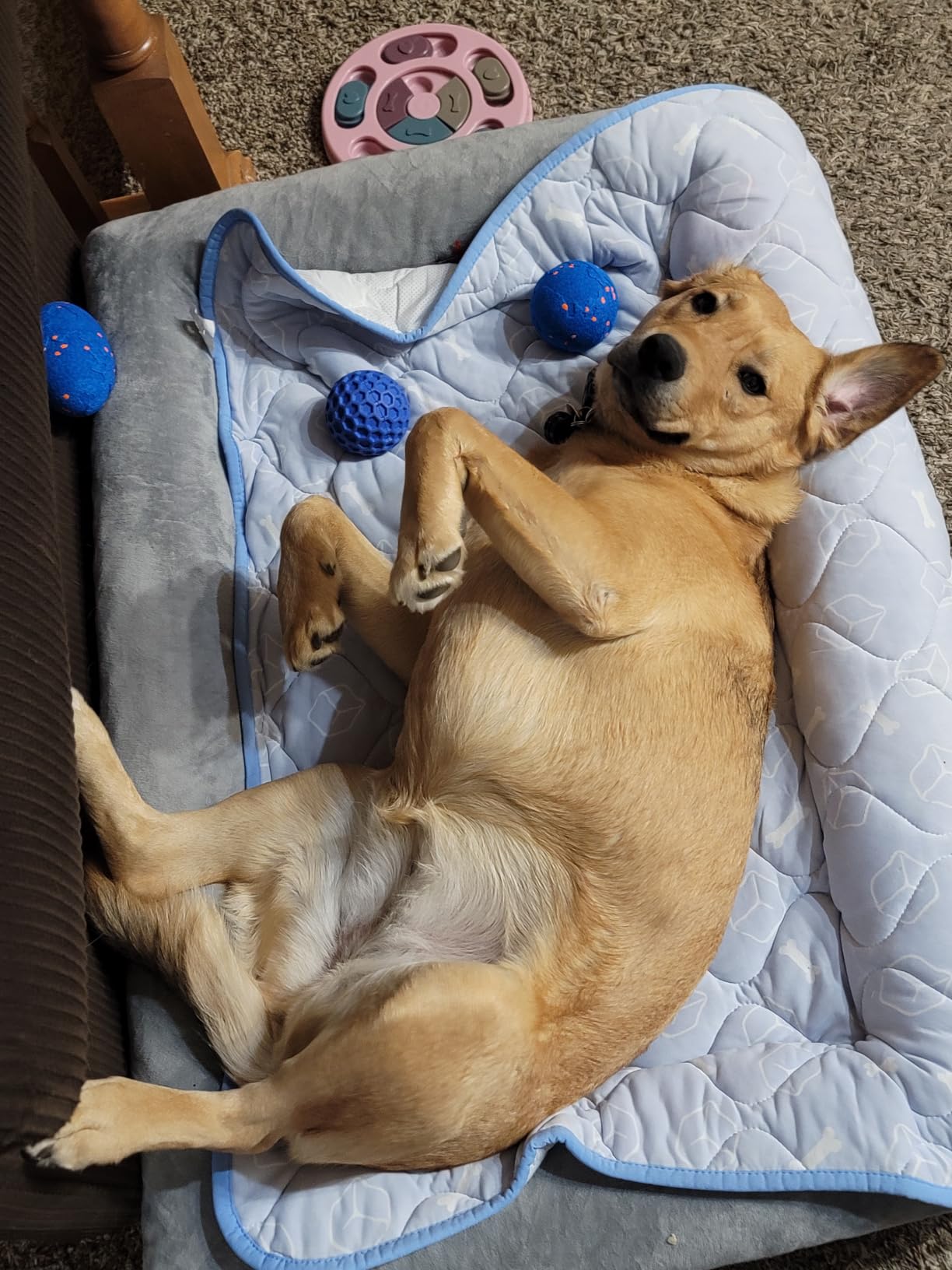 Dog Cooling Mat 2.0, Ocean Blue, 44