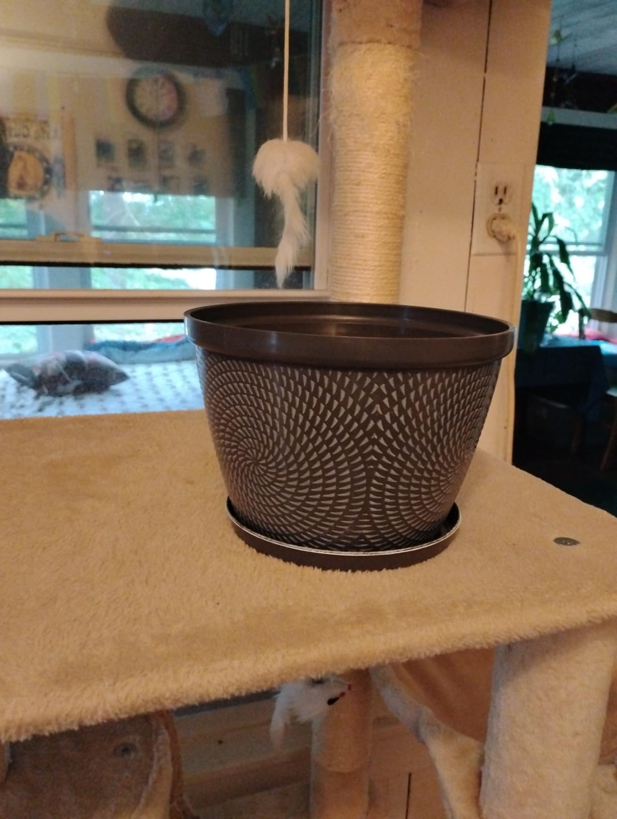 Quarut Large Planter Pot, Plastic Flower Pots with Drainage Hole & Saucer | 4 Pack 15 Inch Modern Decorative Medium Large Garden Pot for Plants Outdoor Indoor, Plant Container for House (Gray) customer photo 2