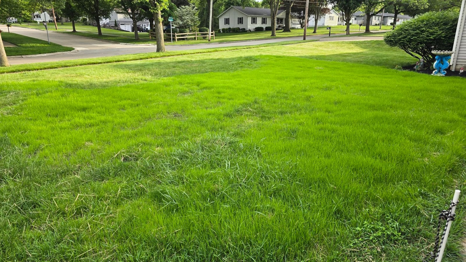 Pennington Contractors Central Mix Grass Seed, 7 lb customer photo 1