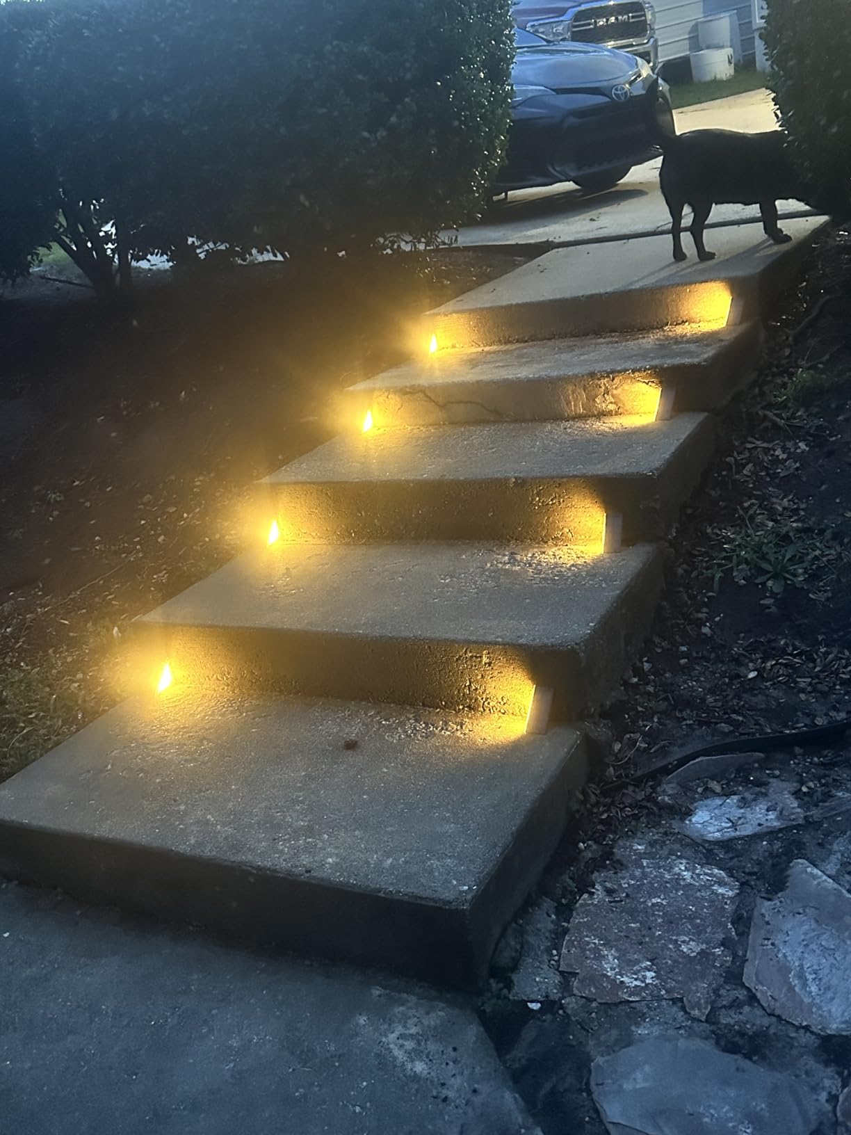 Solar Step Lights Waterproof, Stair Lights Outdoor Decor, 6 Pack Warm White, 24 LEDs Solar Deck Lights for Garden, Porch, Pathway, Patio, Fence, Balcony customer photo 1
