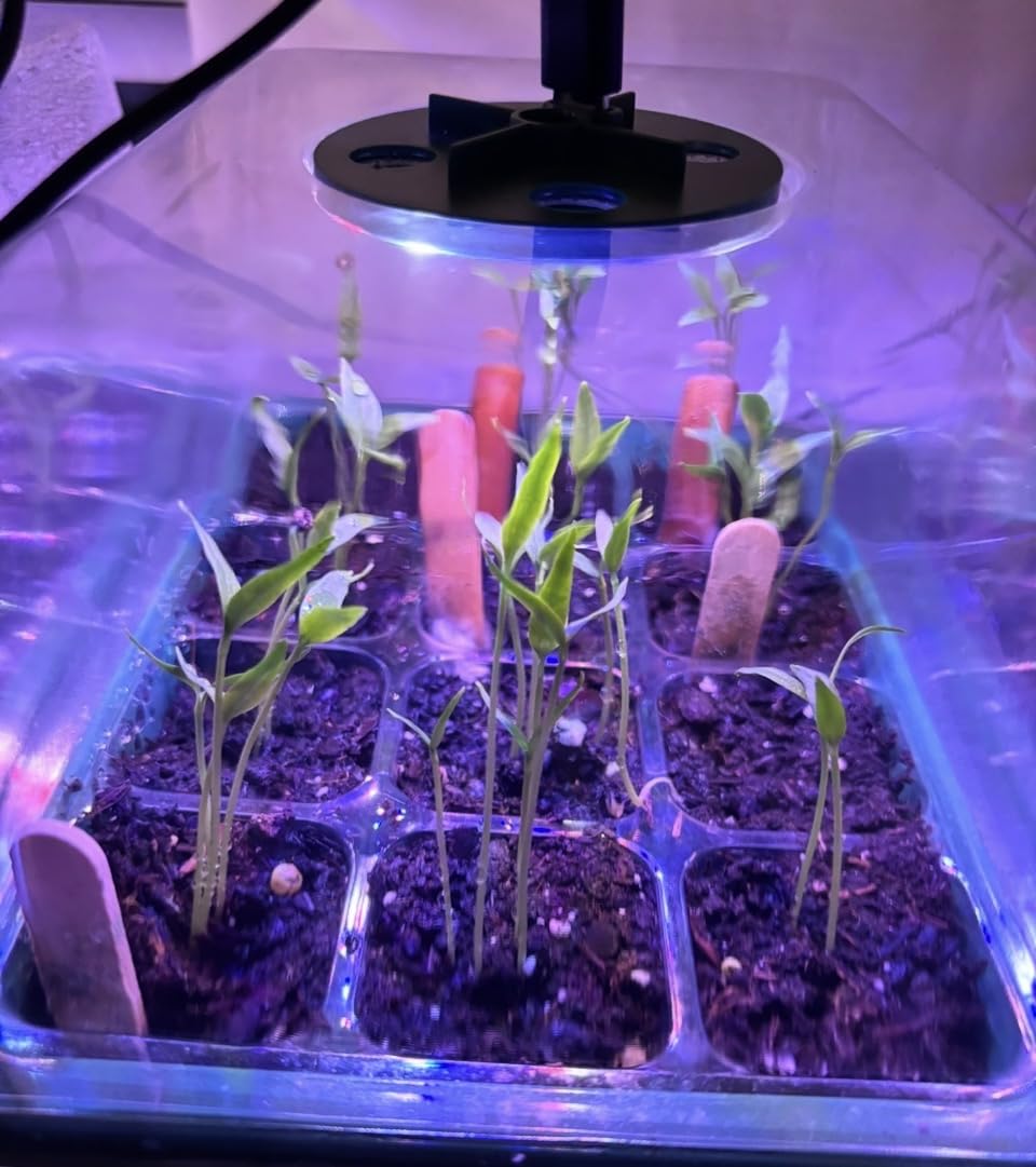 Bonviee 5-Pack Seed Starter Trays, Humidity Dome, Base, 12-Cell Tray, Green customer photo 2