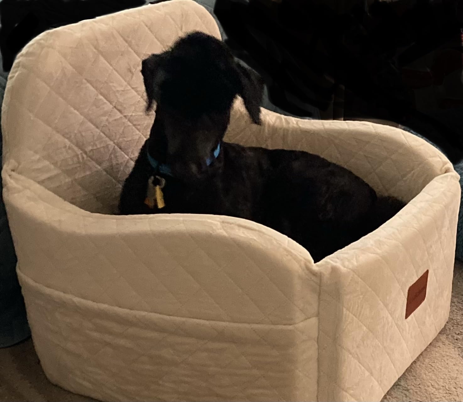 Lealchum Dog Booster Car Seat for S/M Dogs Up to 35lbs,Soft 6in Elevated Cushion,Fits in Front/Back Seat,Fully Detachable and Washable,2 Storage Pockets & 3 Straps,Easy to Install (Black/Brown,Medium) customer photo 1