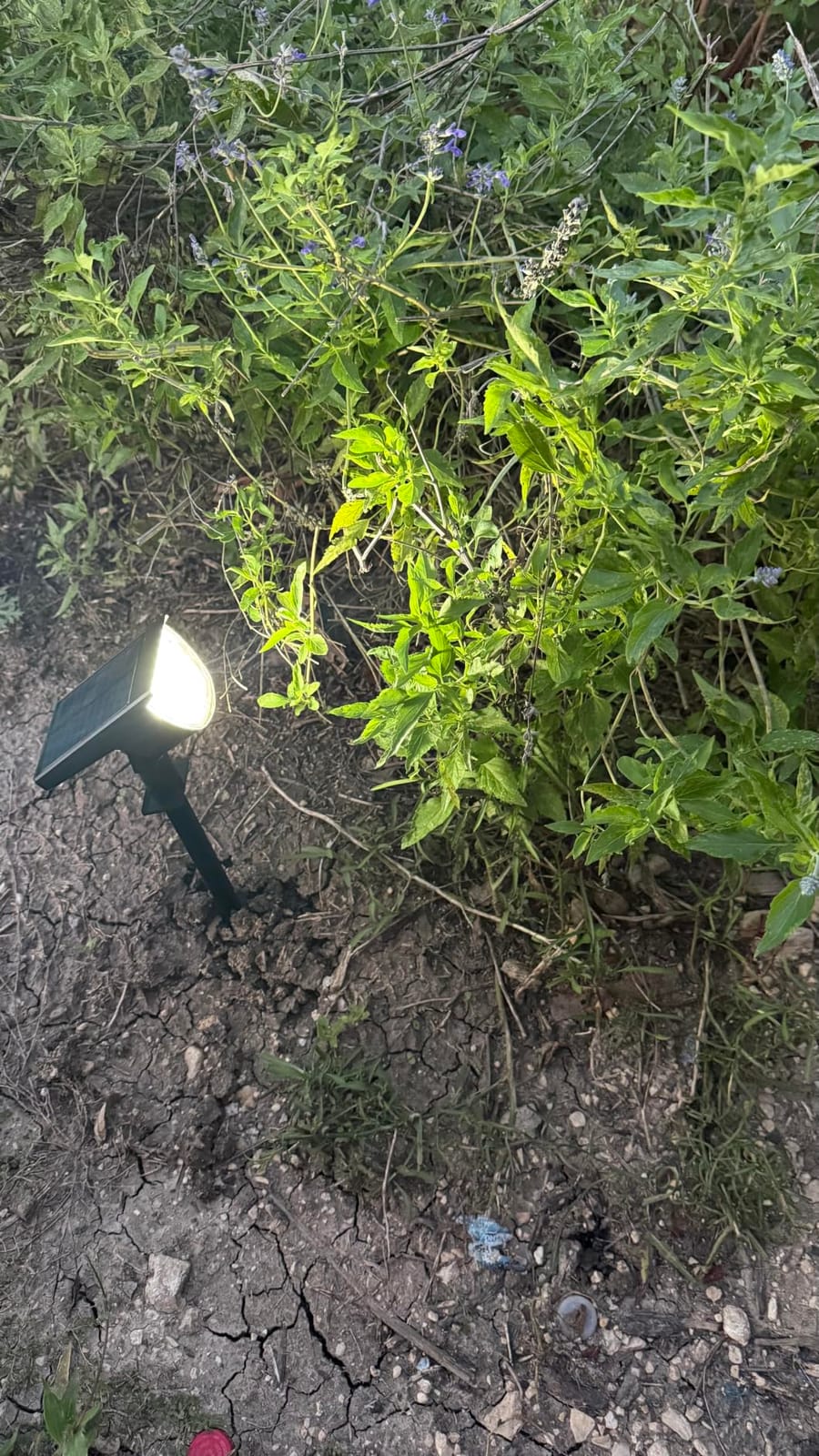 GKGG Solar Lights Outdoor Waterproof IP65, Solar Powered 76 LED 3 Lighting Modes Solar Spot Lights Outdoor for Yard Garden Landscape Pathway (Warm White, 4 Pack) customer photo 1