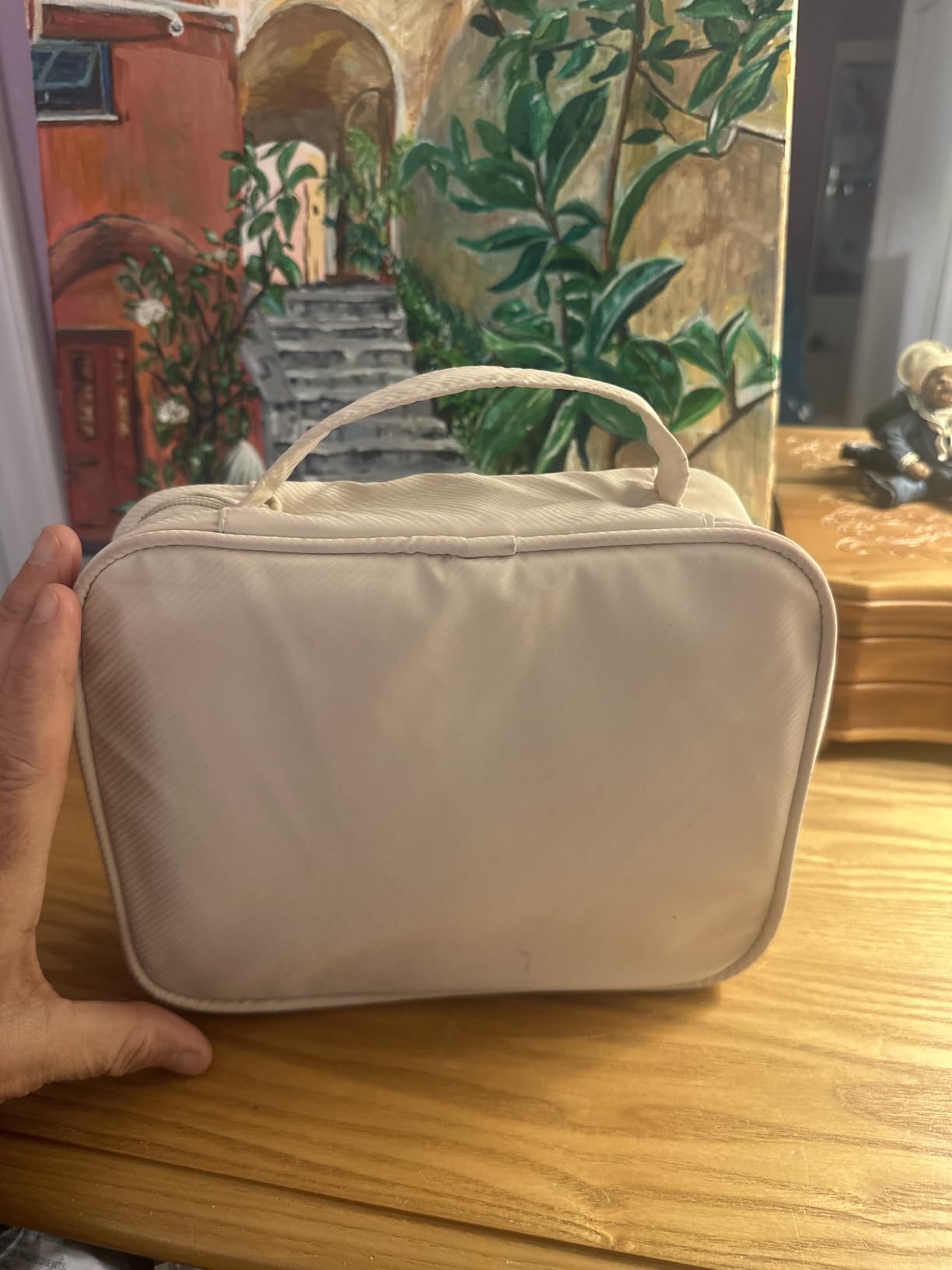 Travel Jewelry Organizer Case,Jewelry Bags for Traveling, Jewelry Binder with 24 Pcs Clear Zipper Velvet Pouches for Storing Earrings, Rings, Necklace, Bracelet, Watch (Beige) customer photo 1