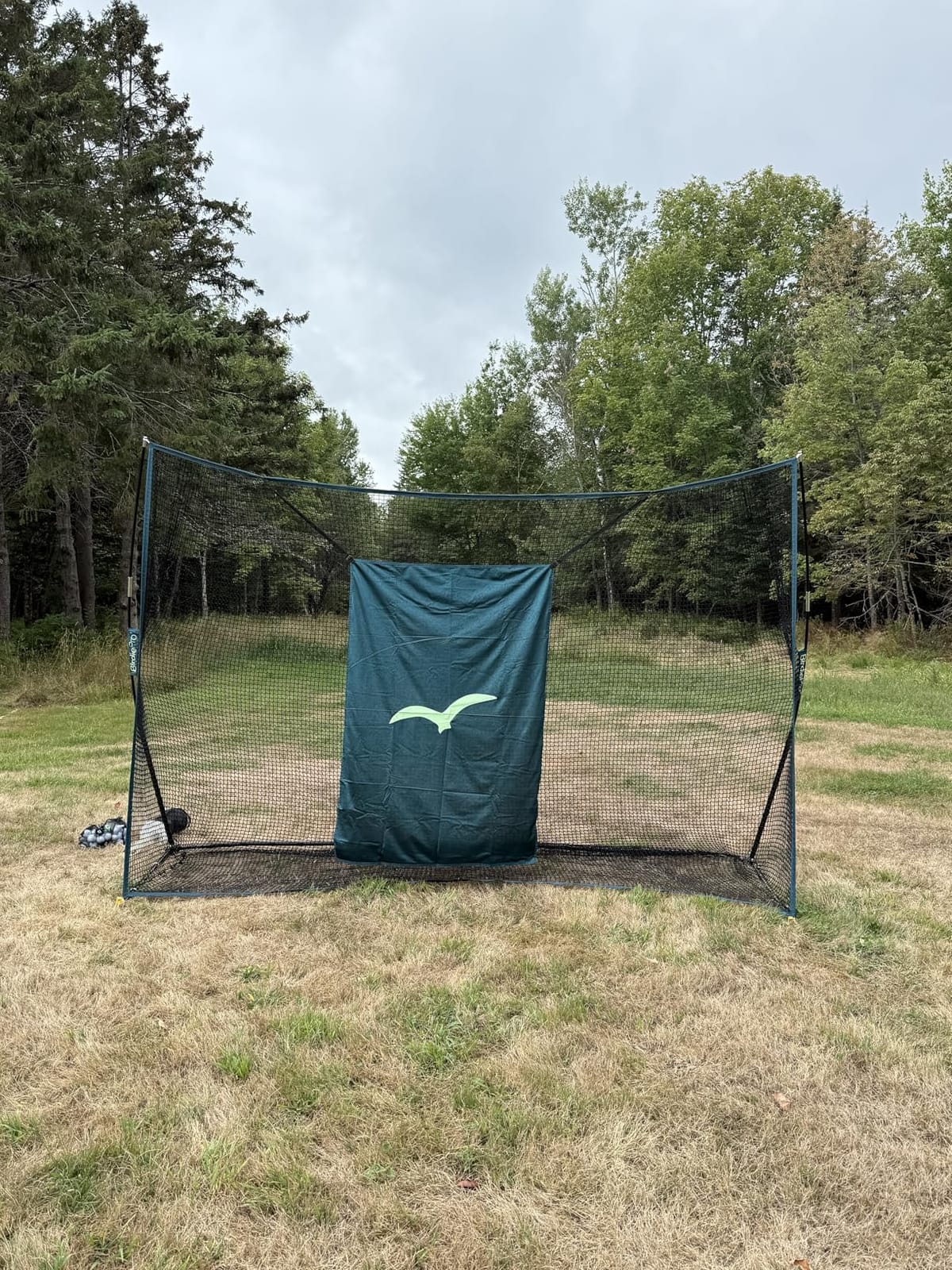 BirdiePro - American Pro Golf Practice Net, 10x7ft Heavy Duty Golf Hitting Net with EchoShield Target & FlexWeave Net, Indoor Outdoor Training Backyard customer photo 1