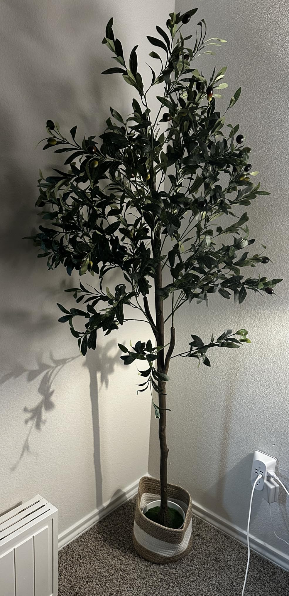 6FT Artificial Olive Tree Indoor Tall Faux with Planter&Basket | Large Fake Olive Silk Trees Realistic Olive Plants with Branches and Fruits customer photo 1