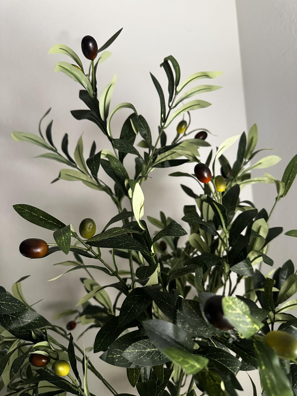 6FT Artificial Olive Tree Indoor Tall Faux with Planter&Basket | Large Fake Olive Silk Trees Realistic Olive Plants with Branches and Fruits customer photo 2