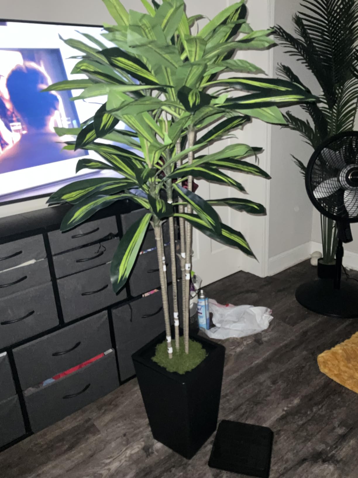 6FT Artificial Dracaena Tree, Fake Tree Indoor with White Tall Planter, Tall Artificial Plants Indoor, Artificial Silk Tree for Home Office Decor customer photo 2