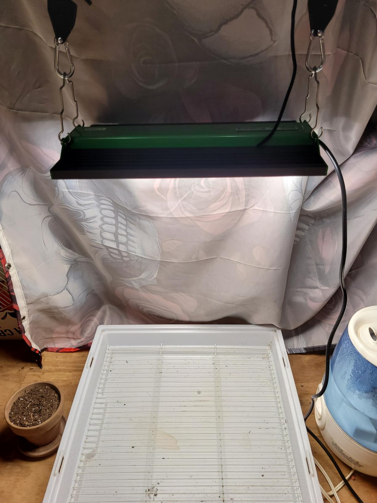 70 Watt Grow Light, Dimmable Plant Light, LED Grow Lights for Indoor Plants customer photo 1