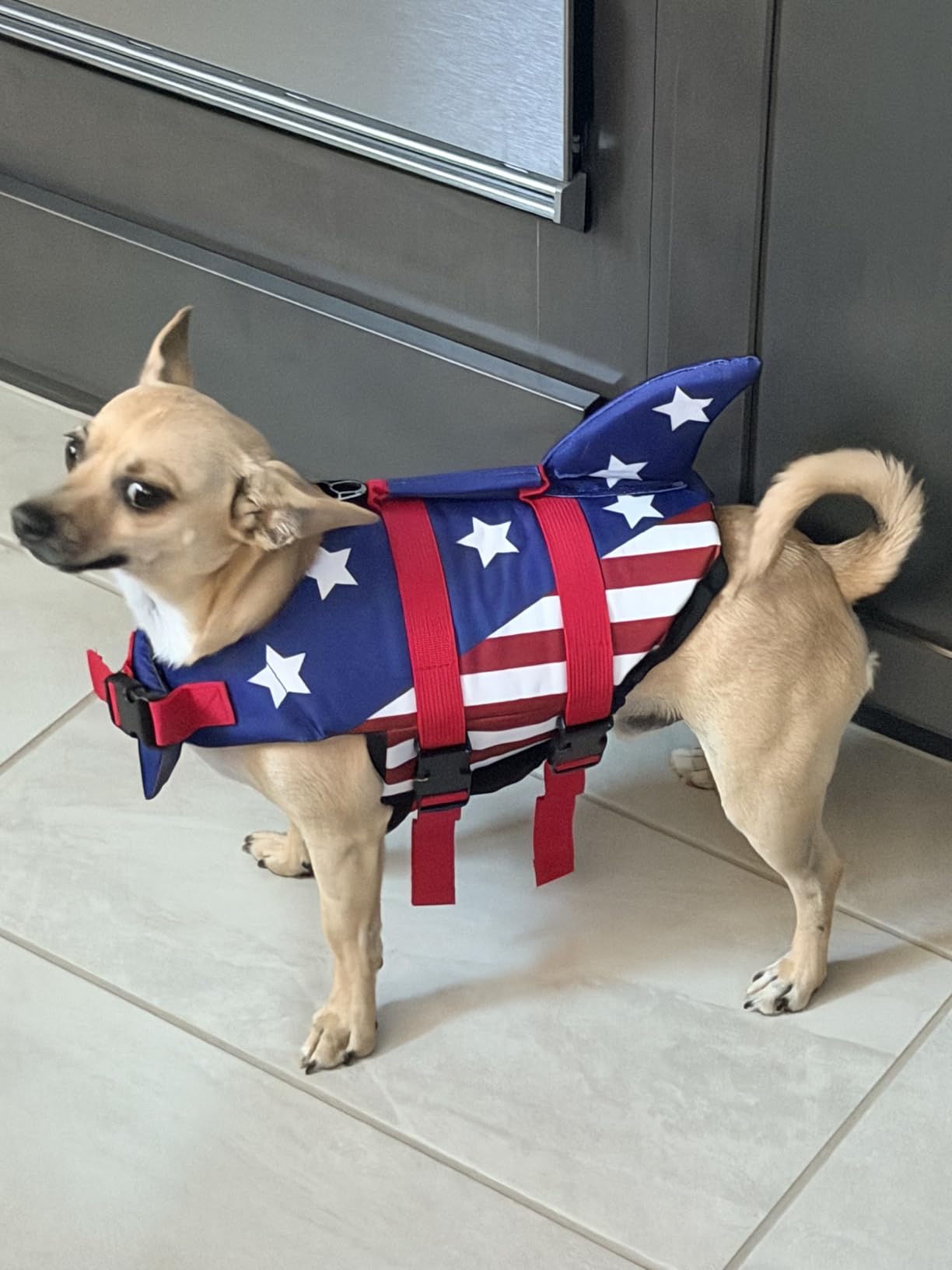 EMUST Dog Life Vests, Pet Floats for Swimming, Boat, Pool, Ripstop Dog Life Jacket with High Buoyancy and Lift Handle for Small and Medium Breeds, M, Solid Turquoise customer photo 1