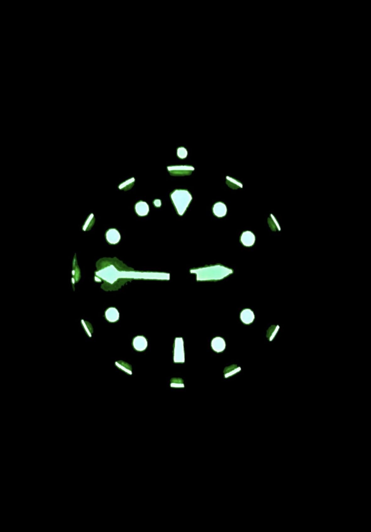 RATIO FreeDiver Sapphire Crystal Diver Watch Japanese Automatic Movement Dive Watch 200m Water Resistant Diving Watch for Men customer photo 2