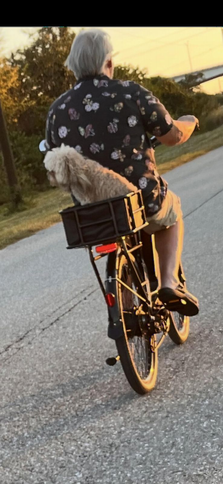 B0DZHLNM69 customer photo 1