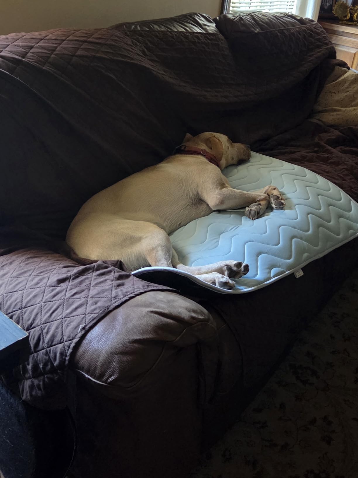 Cooling Mat for Large Dogs, 40