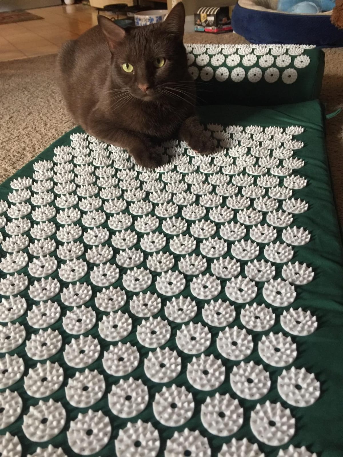 Sivan Health and Fitness Acupressure Mat and Pillow Set - Grounding Mat for Stress, Back & Neck Pain - Acupuncture Point Massage Mat for Muscle Relaxation, Sciatica, & Meditation - Includes Carry Bag customer photo 1