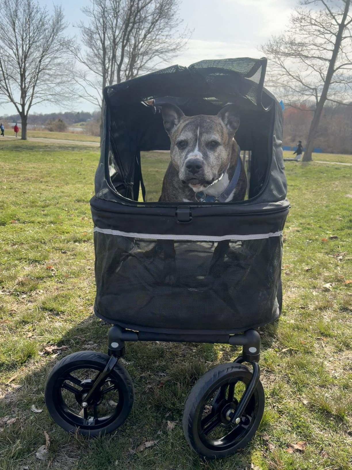 Zoosky Pet Stroller for Large Dogs up to 110lbs, Large Pet Stroller | Multiple Pets (31