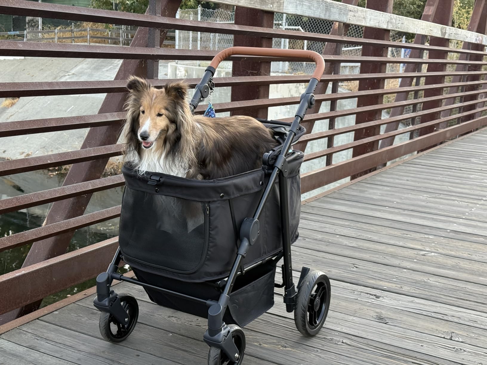 Zoosky Medium Dog Stroller for Large Dogs, pet Stroller for Medium Dogs Up to 66lbs, All-Terrain with Adjustable Handle & Canopy, Sun Shades, Storage Organizer, Waterproof Oxford Fiber customer photo 1