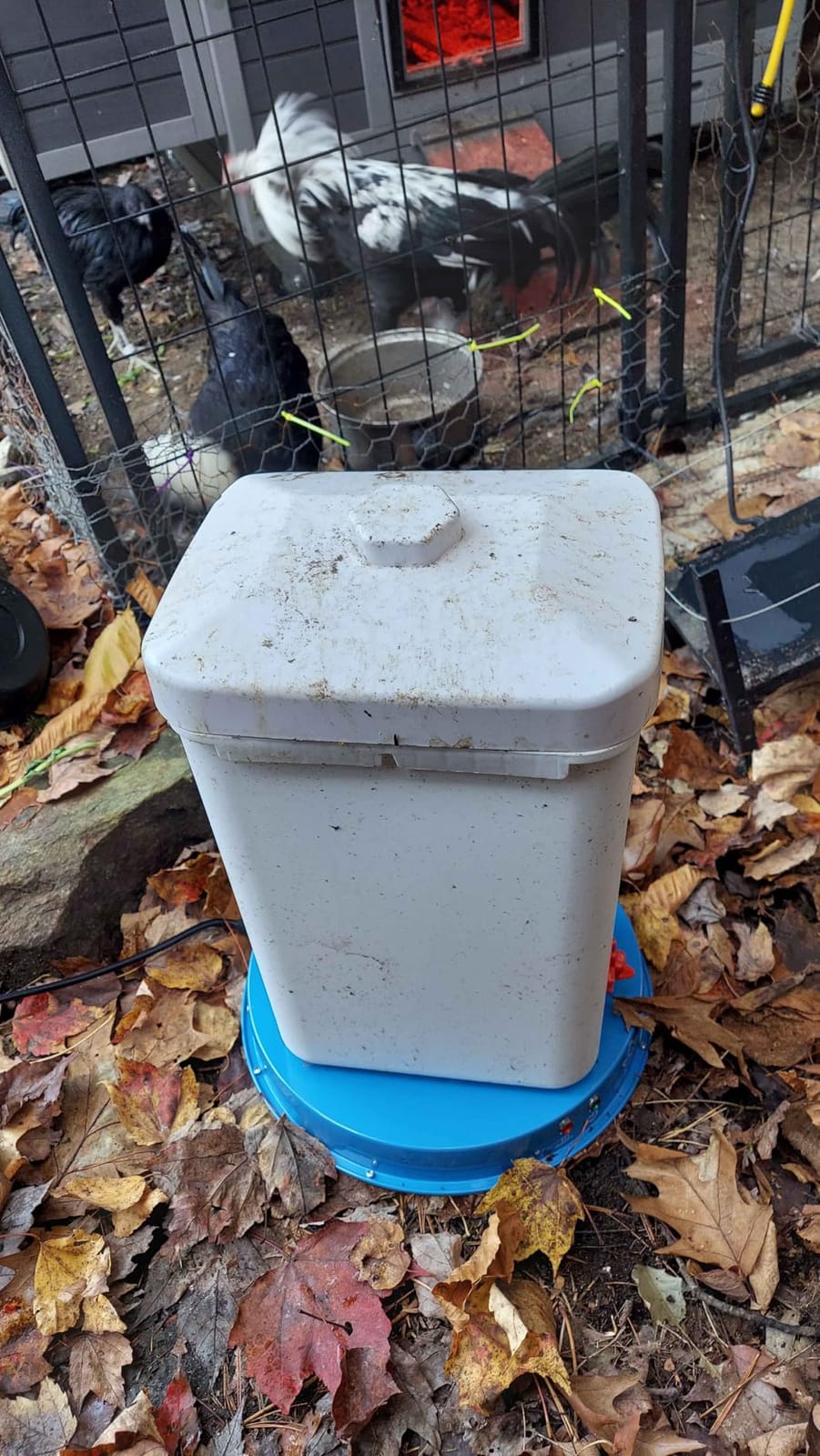 Lil'Clucker Heated Base for Chicken Waterer - Automatic Metal Freeze Proof Heated Chicken Waterer with Heater & LED - Poultry Heated Waterer for Winter (Blue, 11 Inch) customer photo 1