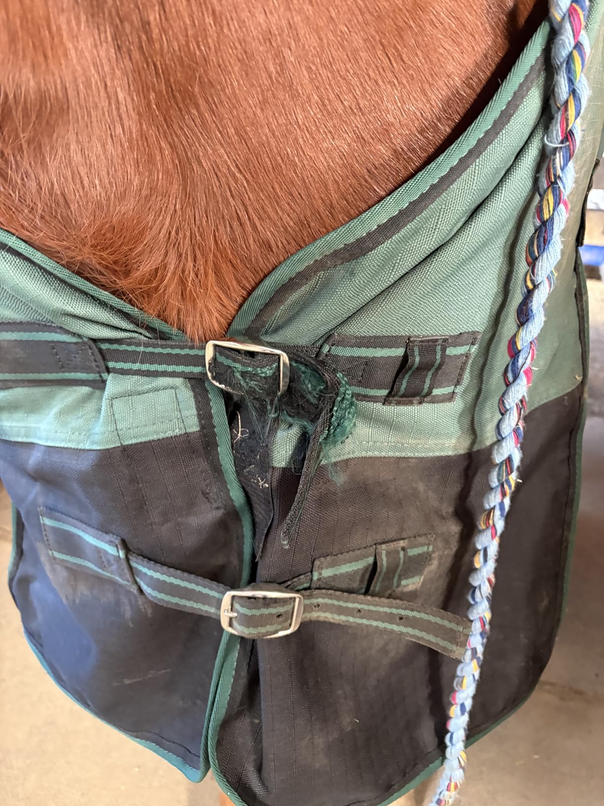 1200D Ripstop Waterproof Breathable Horse Blanket (200g Fill), Medium Weight Warm Winter Turnout, Thermal Protection for Cold & Snow Greenblack 72