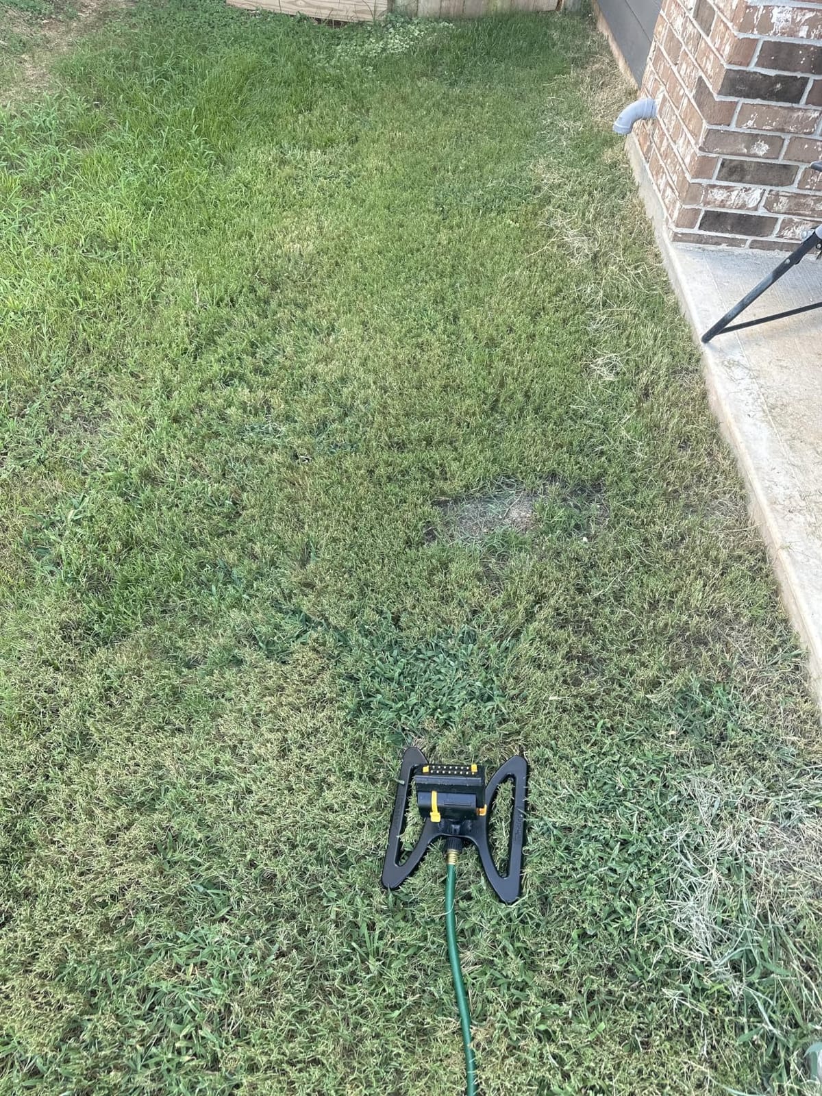 Scotts Turf Builder Thick'r Lawn Sun & Shade, 10 lbs. customer photo 1