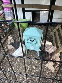 4.2-Gallon Automatic Chicken Waterer - Gravity Poultry Water Dispenser with Auto-Refill System, Rainproof Lid, Raised Stand Legs & Anti-Roost Cone for Outdoor Use customer photo 2
